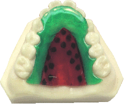 Color watermelon